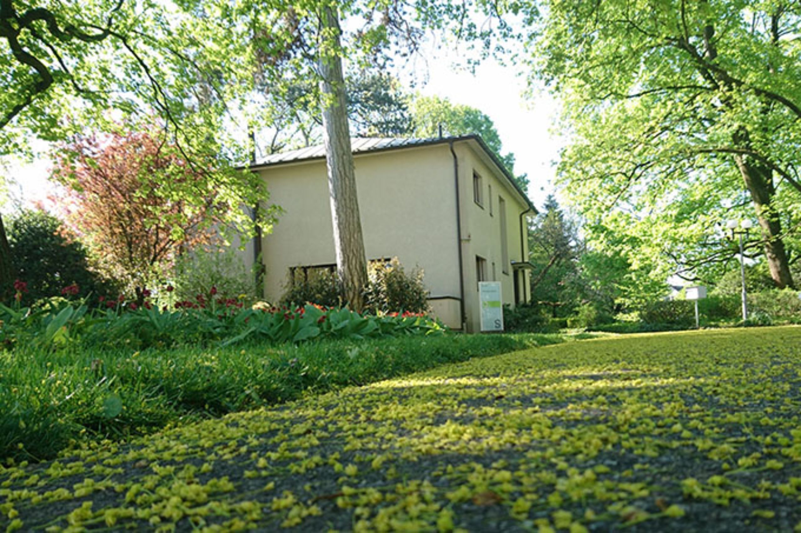 63_Stiftung_Diakonat_Bethesda